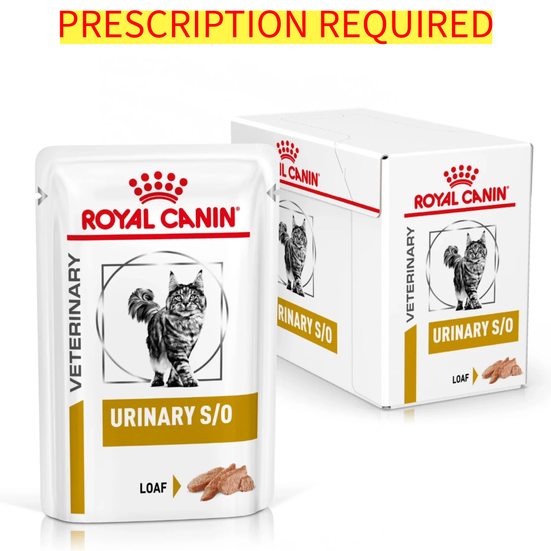 Royal Canin Urinary S/O Wet Cat Food with Chicken in Loaf Pouch - Supports Urinary Health for Adult Cats - Perfect for Indoor Cats & Urinary Tract Care