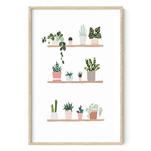 Pots on Shelves