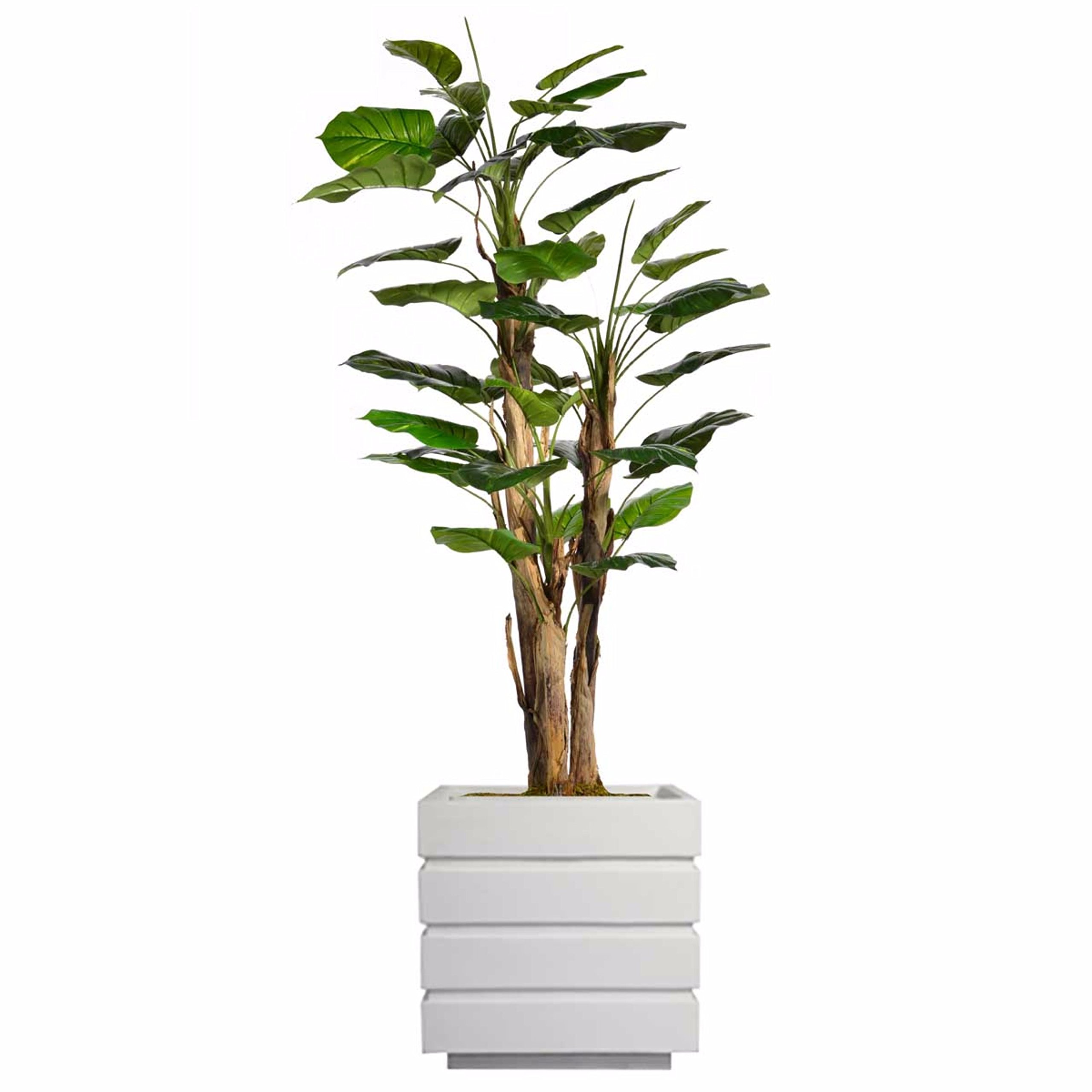 Vintage Artificial Faux Scindapsus Aureus & Banana Leaf Plant with Eco-Friendly Paper Planter - Home Decor for Living Room, Office, Bedroom (VHX134211)