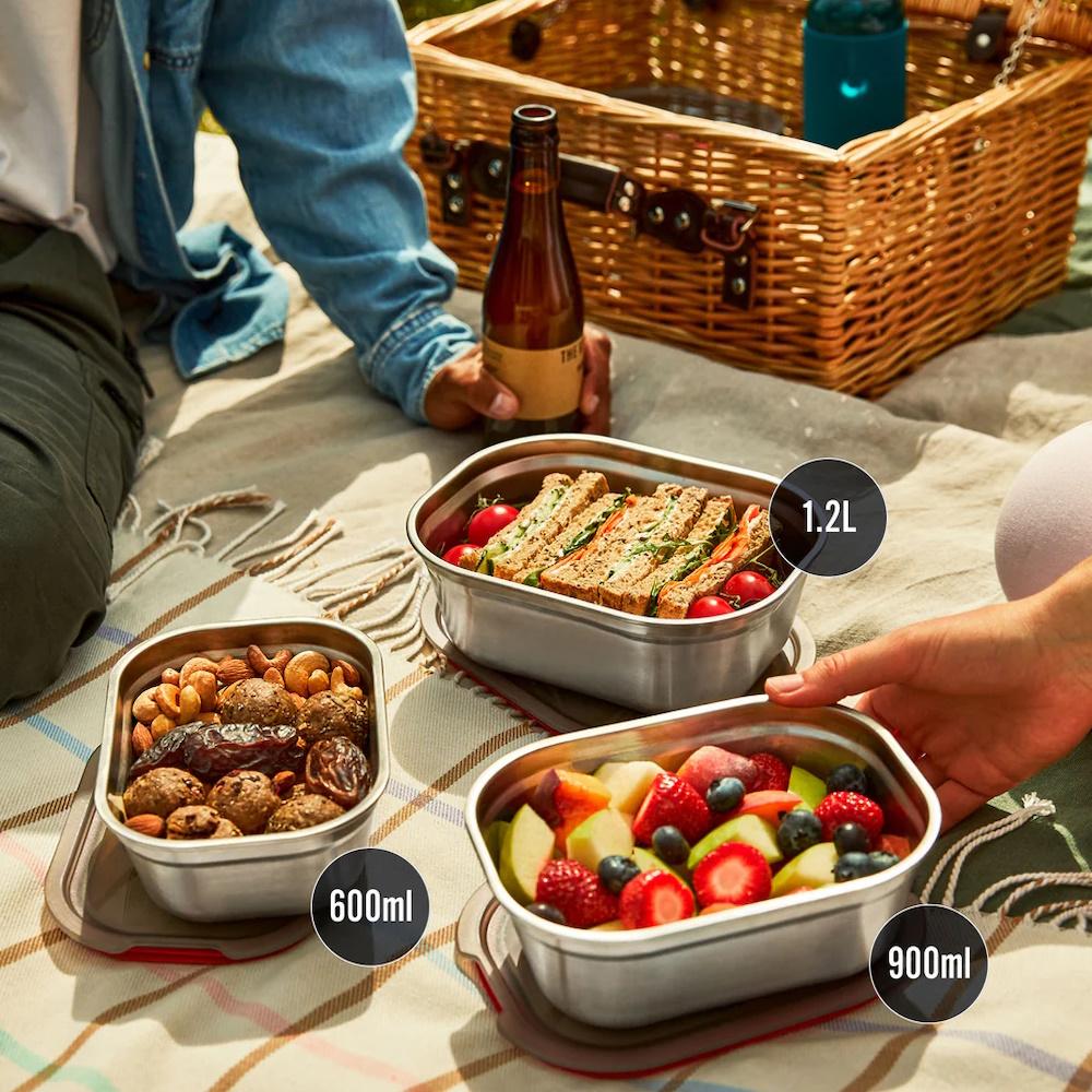 Black + Blum Stainless Steel Food Storage Container - Small | Bento Lunch Box for Office, School & Travel | Airtight & Leak-Proof