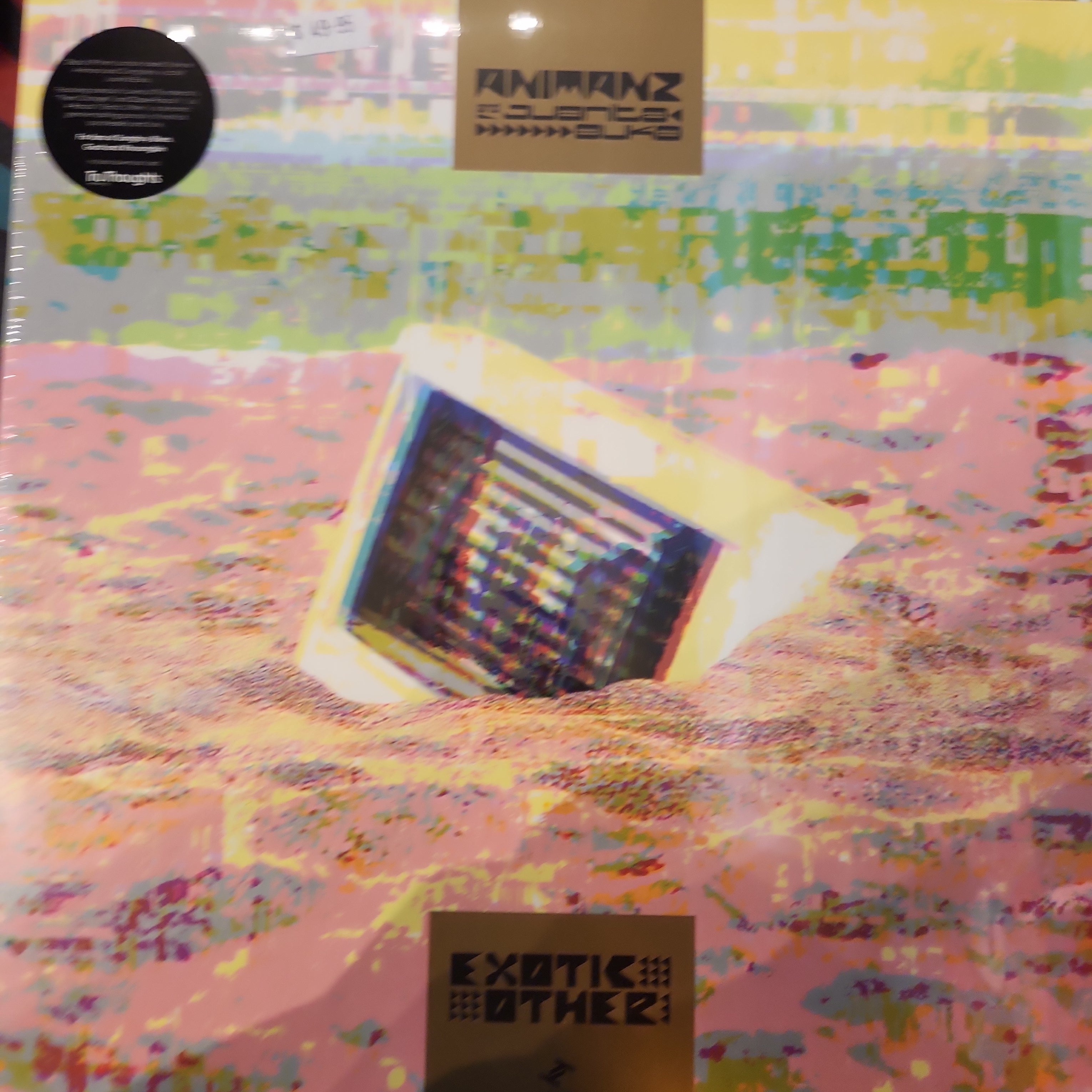 Animanz & Juanita Euka - Exotic Other (Vinyl LP) | World Music Fusion for Home Listening & Record Collectors | Perfect for Relaxation, Dinner Parties & Music Enthusiasts