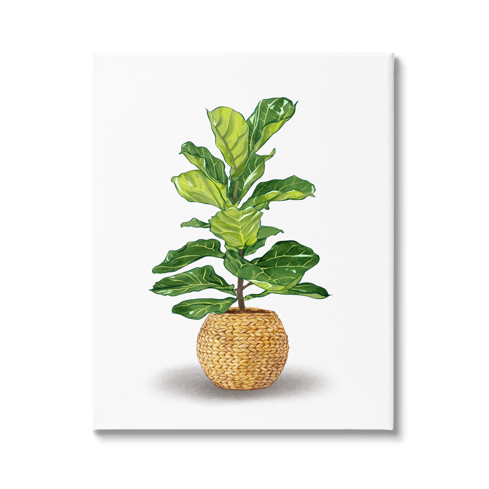 Stupell Industries Bold Potted House Plant with Green Leaves in Woven Basket - Modern Home Decor by Ziwei Li | Perfect for Living Room, Bedroom & Office Interior Design