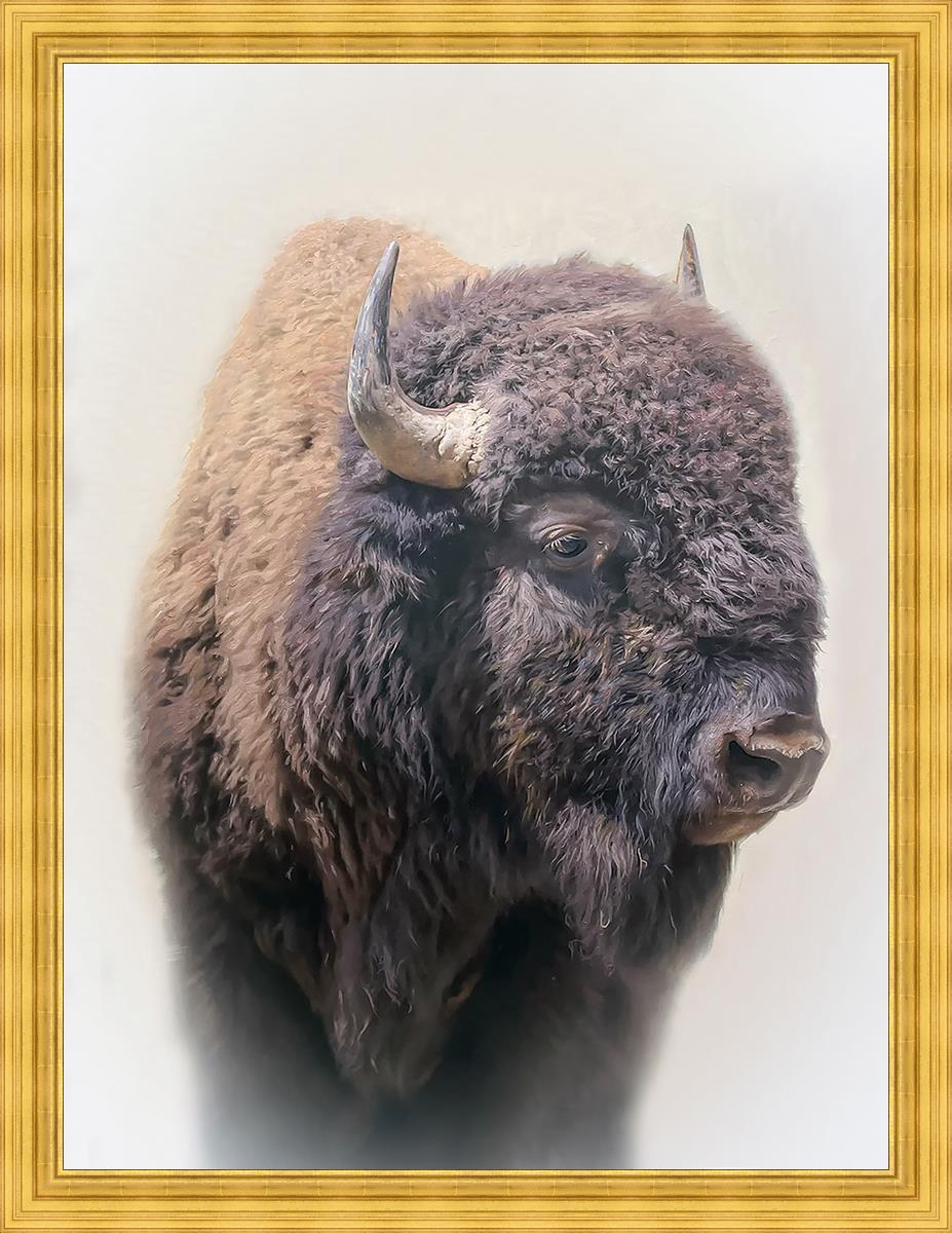 Bison Large Wall Art - Stunning Bison Canvas Print for Living Room, Bedroom & Office Decor | Premium Wildlife Home Decor