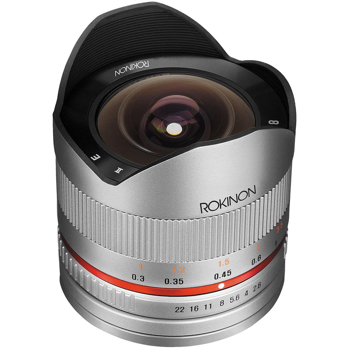Rokinon RK8MS-E 8mm F2.8 Fisheye Lens for Sony E Mount Mirrorless Cameras - Ultra Wide Angle Manual Focus Lens for Landscape, Architecture & Creative Photography (Silver)