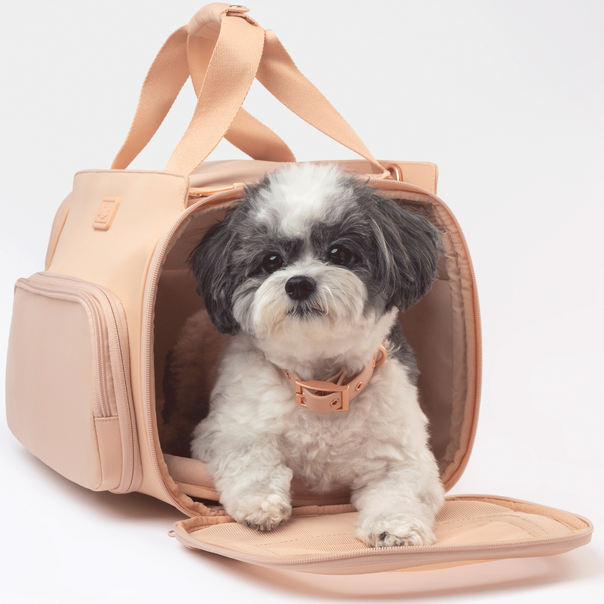 Diggs Passenger Travel Carrier Blush - Airline Approved Pet Carrier for Small Dogs & Cats - Perfect for Air Travel, Road Trips & Vet Visits
