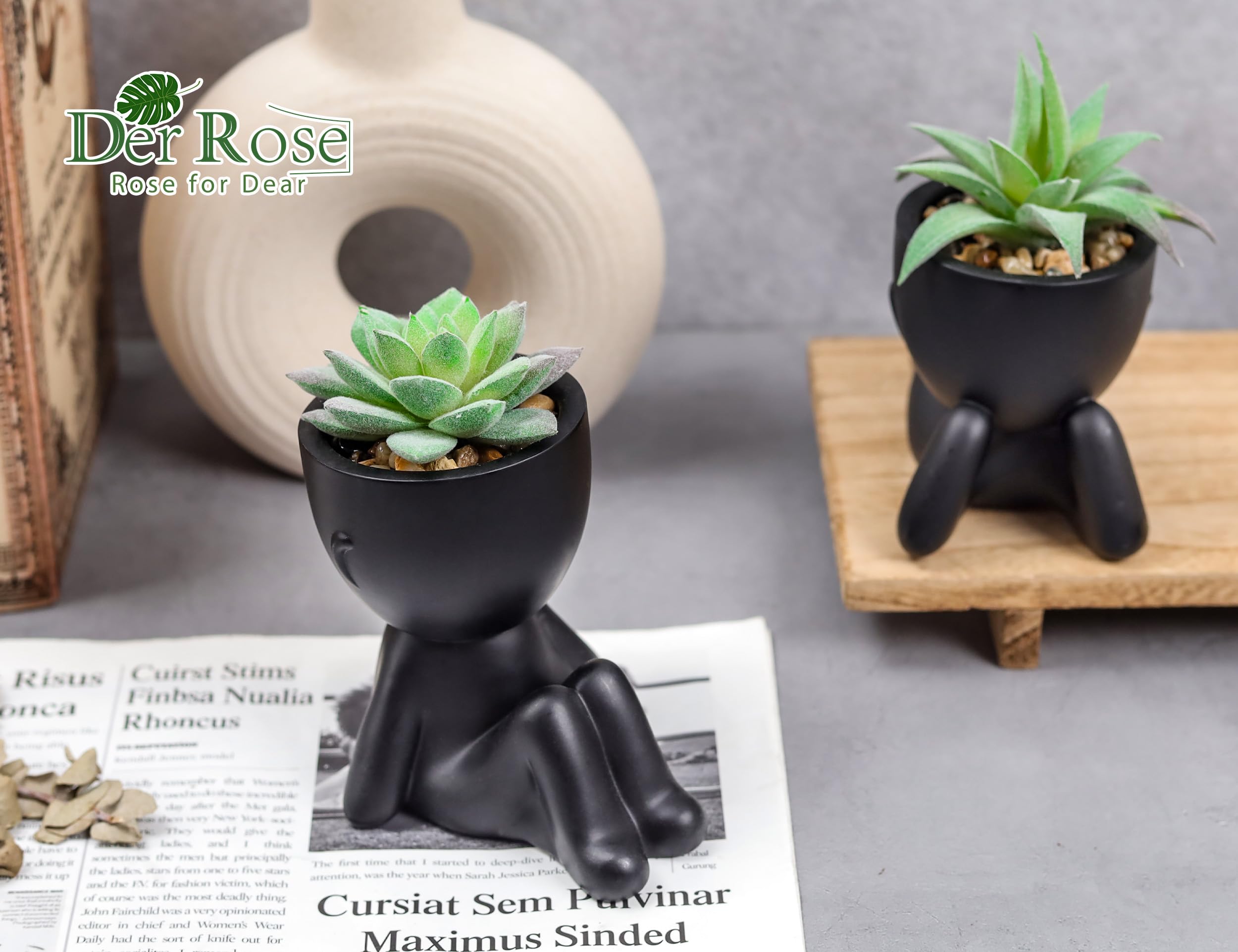 Der Rose Set of 2 Artificial Succulent Plants - Fake Plants for Office Desk, Bathroom & Home Decor - Low Maintenance Indoor Greenery for Aesthetic Spaces, Workstations & Living Rooms