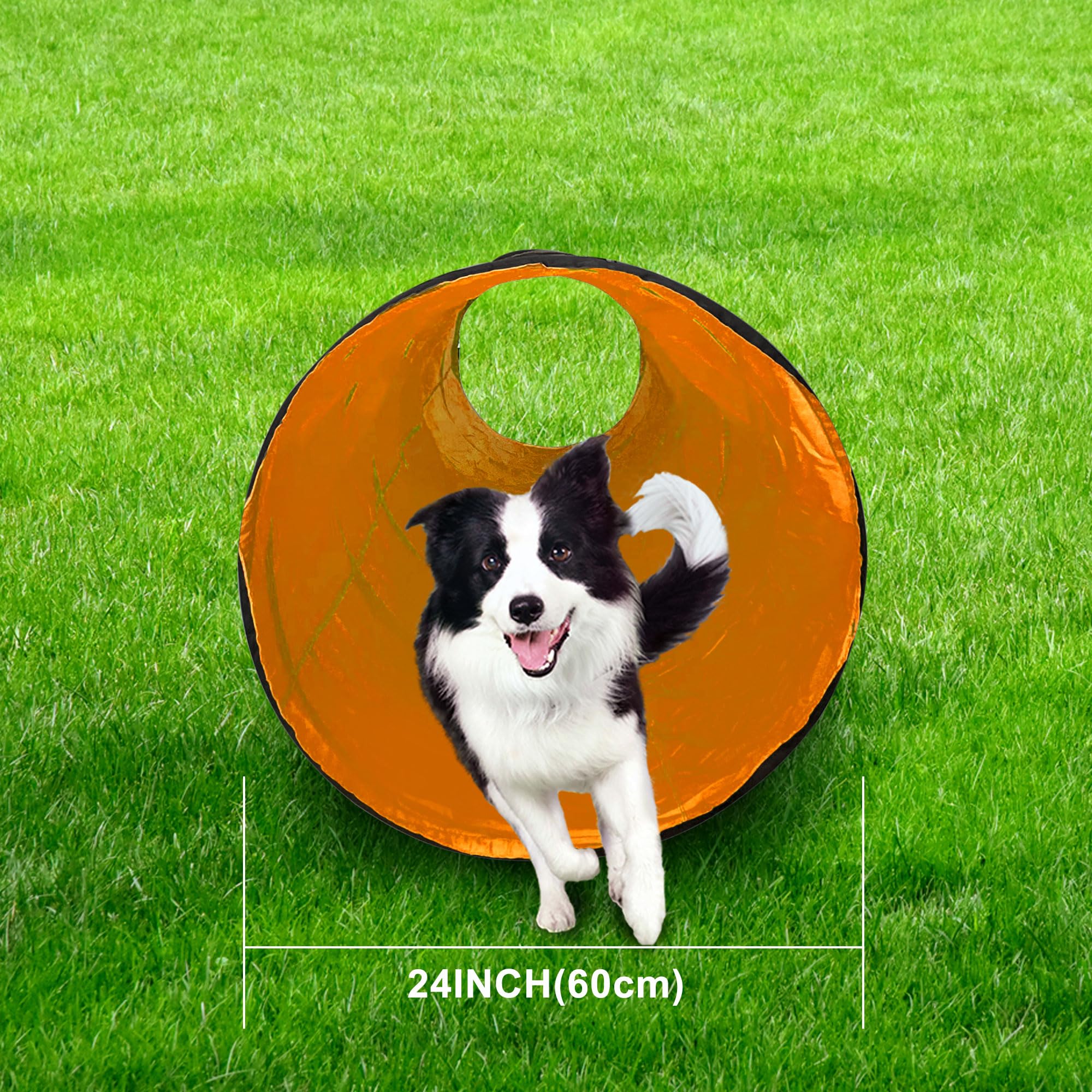 Premium Dog Agility Tunnel for Training & Play - Portable Pet Obstacle Course with Carry Bag - Perfect for Backyard, Park & Competition Training