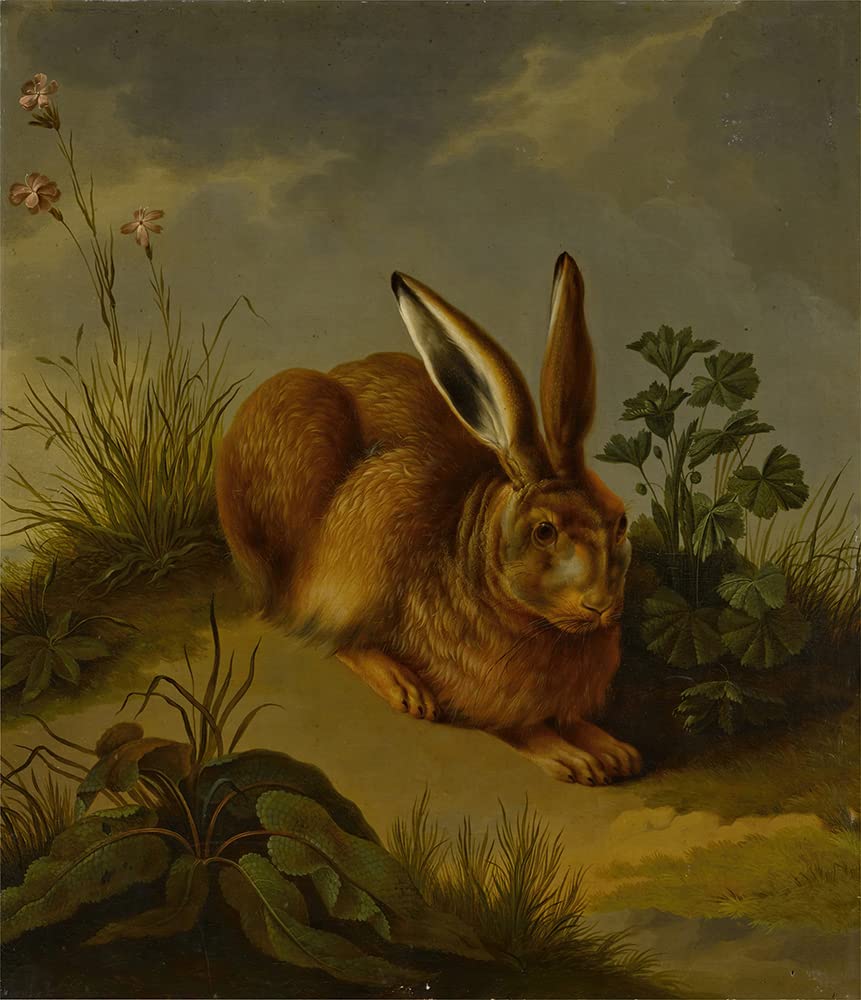 German School 20x23 Black Modern Frame with Double Matted Museum Art Print - A Hare Among Plants and Grasses (Circa 1800) - Perfect for Living Room, Office or Gallery Wall Decor