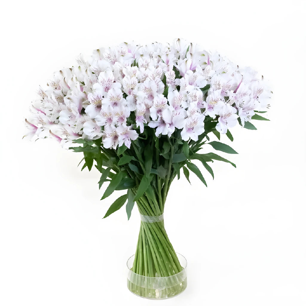 Alstroemeria Spiral Valentine's Day Flower Bouquet - Fresh Cut Peruvian Lily Arrangement for Romantic Gifts, Anniversaries & Weddings