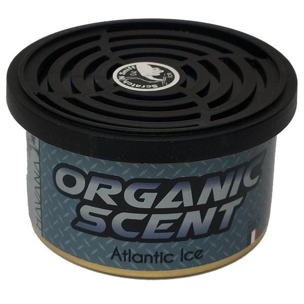 Premium Organic Car Air Fresheners - Natural & Long-Lasting Fragrance for Fresh Car Interior | Perfect for Daily Commute, Road Trips & Family Travel