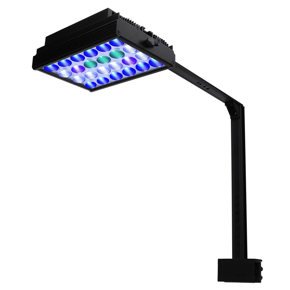 DSunY PopBloom 60W LED Aquarium Light for Saltwater Coral Reef Tanks - 4 Channel Wireless Controller, Mini Nano Marine Fish Tank Lighting for Coral Growth - Perfect for Home, Office & Aquatic Shops