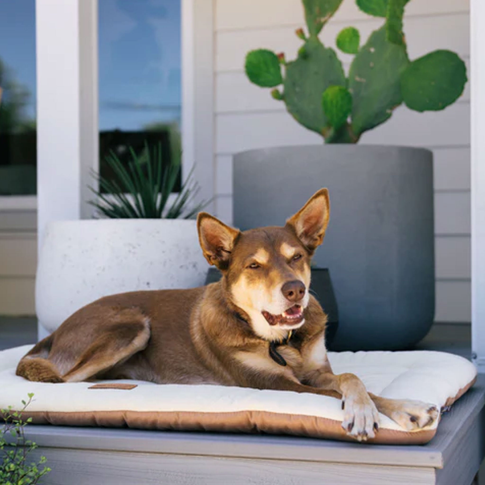 Premium P.L.A.Y. Chill Pads Pebble Grey Orthopedic Dog Bed for Medium & Large Breeds - Cooling Comfort for Hot Weather, Perfect for Indoor & Outdoor Use