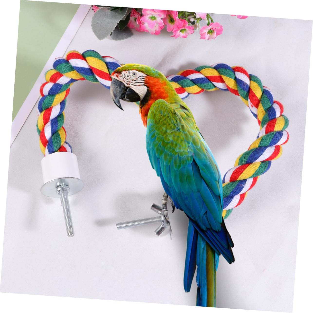 iplusmile 31.4inch Spiral Bird Rope Perch - Natural Cotton Parrot Swing Toy for Cockatiels, Budgies & Small Birds | Cage Accessories for Climbing, Playing & Exercising (80CM/31.4inch) - Perfect for Bird Cage Enrichment & Mental Stimulation