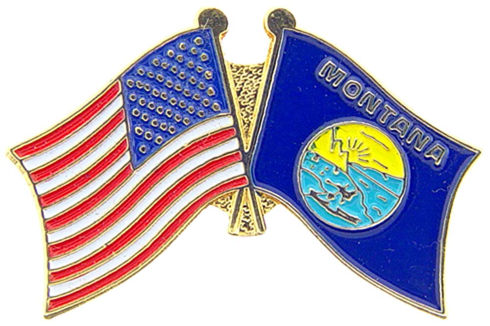USA Flag 1 Inch Metal Lapel Pin & Hat Pin - Patriotic Accessory for Veterans, Military, Collectors & Everyday Wear