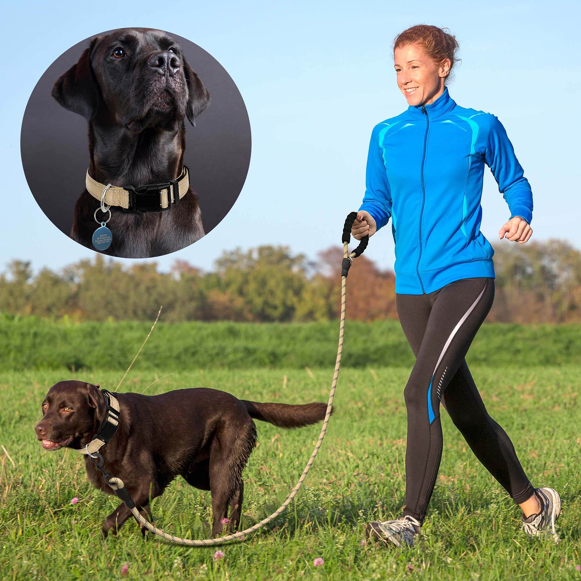 Reflective Dog Collar with Soft Neoprene Padding - Breathable Adjustable Nylon Collar for Small, Medium & Large Dogs - High Visibility Safety Collar for Night Walks (Small, Vanilla Collar + Leash) - Perfect for Evening Dog Walks, Jogging & Outdoor Adventures