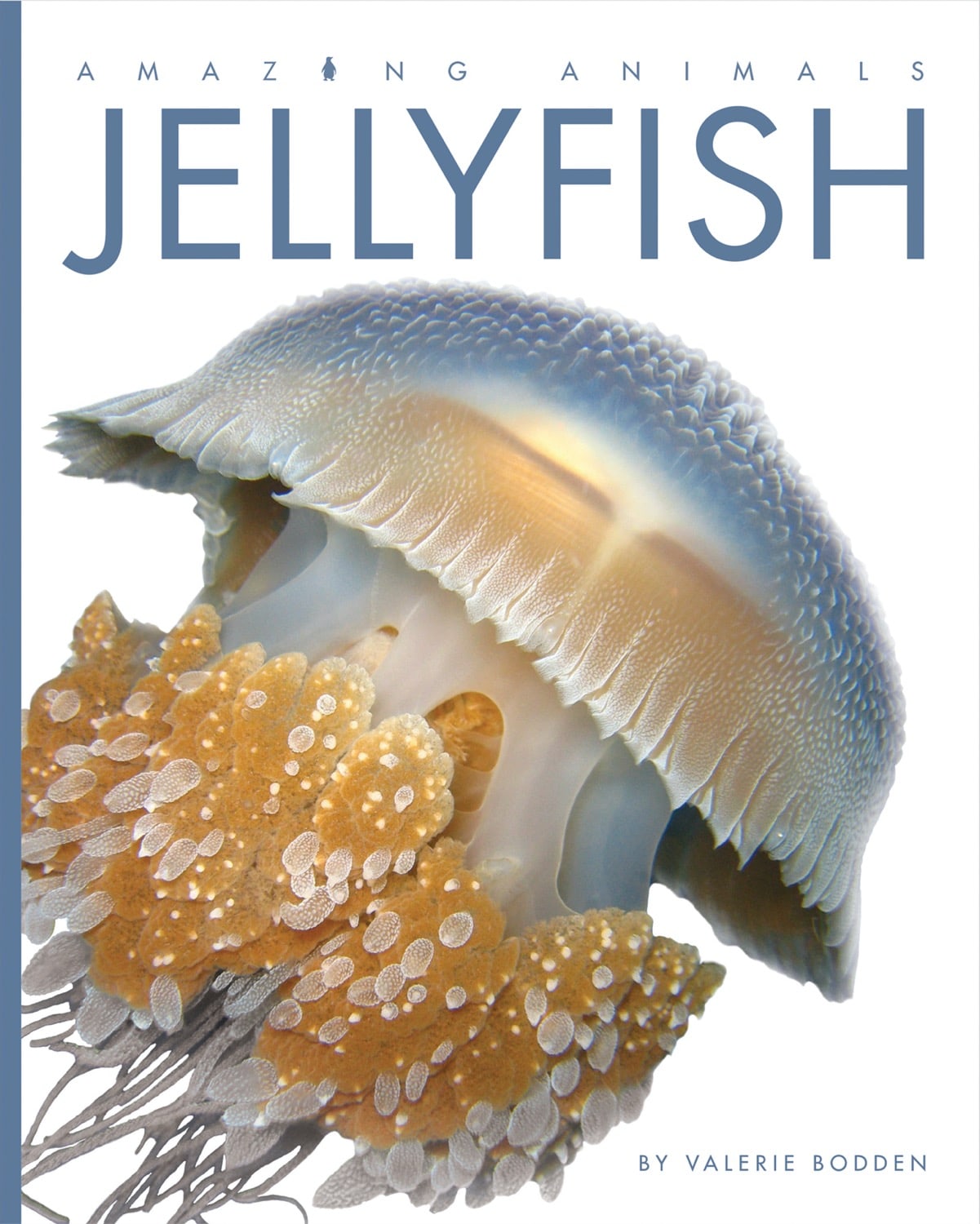 Amazing Animals (2014) - Jellyfish Documentary | Marine Life Educational Film | Perfect for Classroom Learning & Nature Enthusiasts