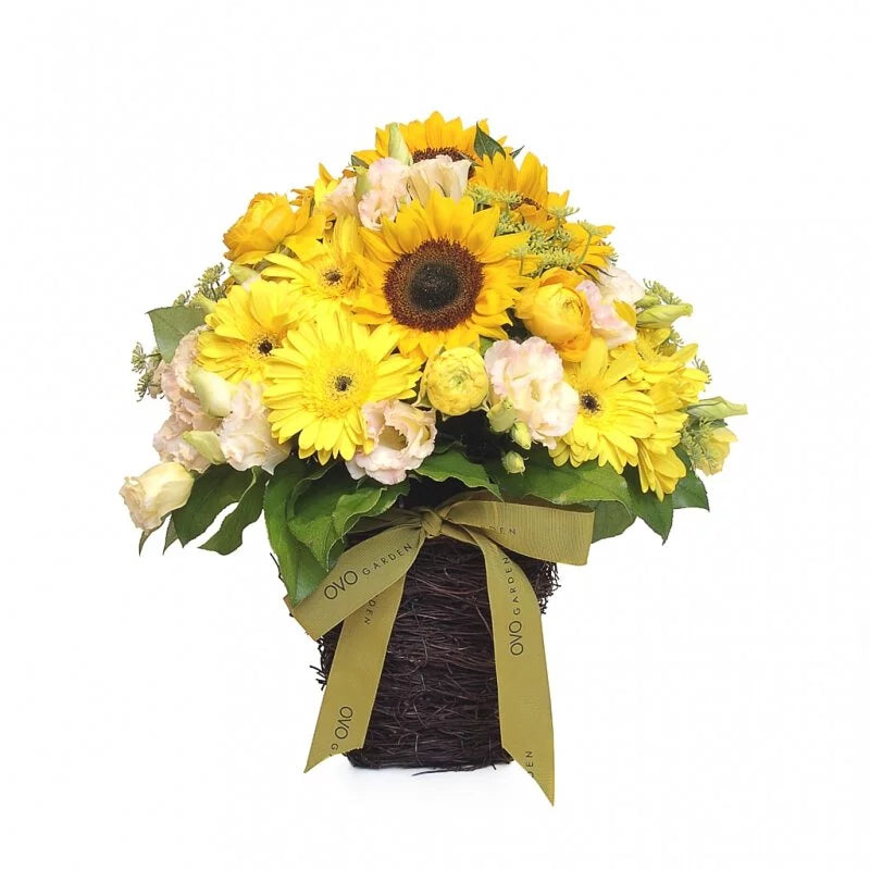 Sunlit Morning - Premium Home Decor & Gifts for Cozy Living Rooms, Bedrooms, and Offices