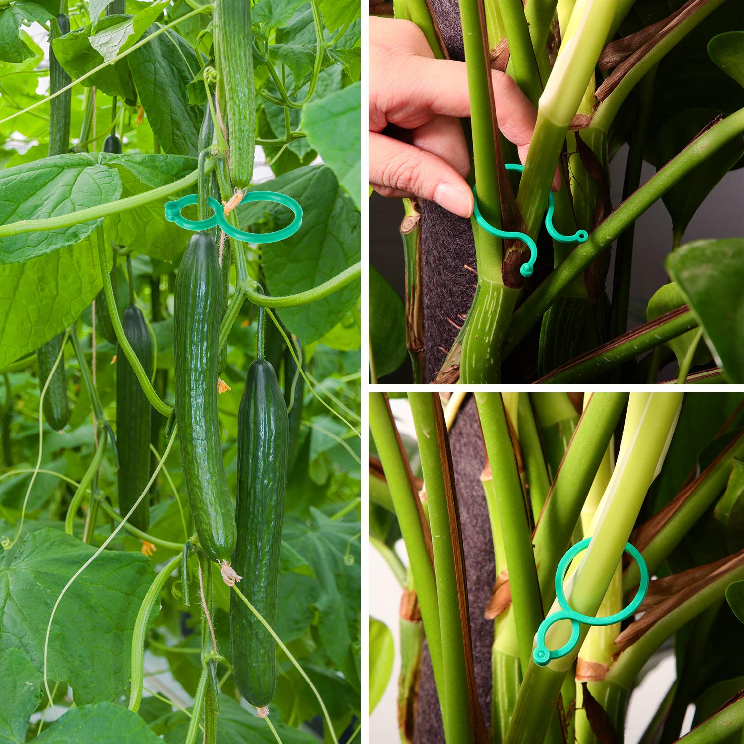 200 Pack Garden Plant Support Clips - Plastic Vine & Tomato Clips for Flowers, Vegetables - Secure Plants to Grow Upright - Perfect for Greenhouses, Home Gardens, and Vertical Farming