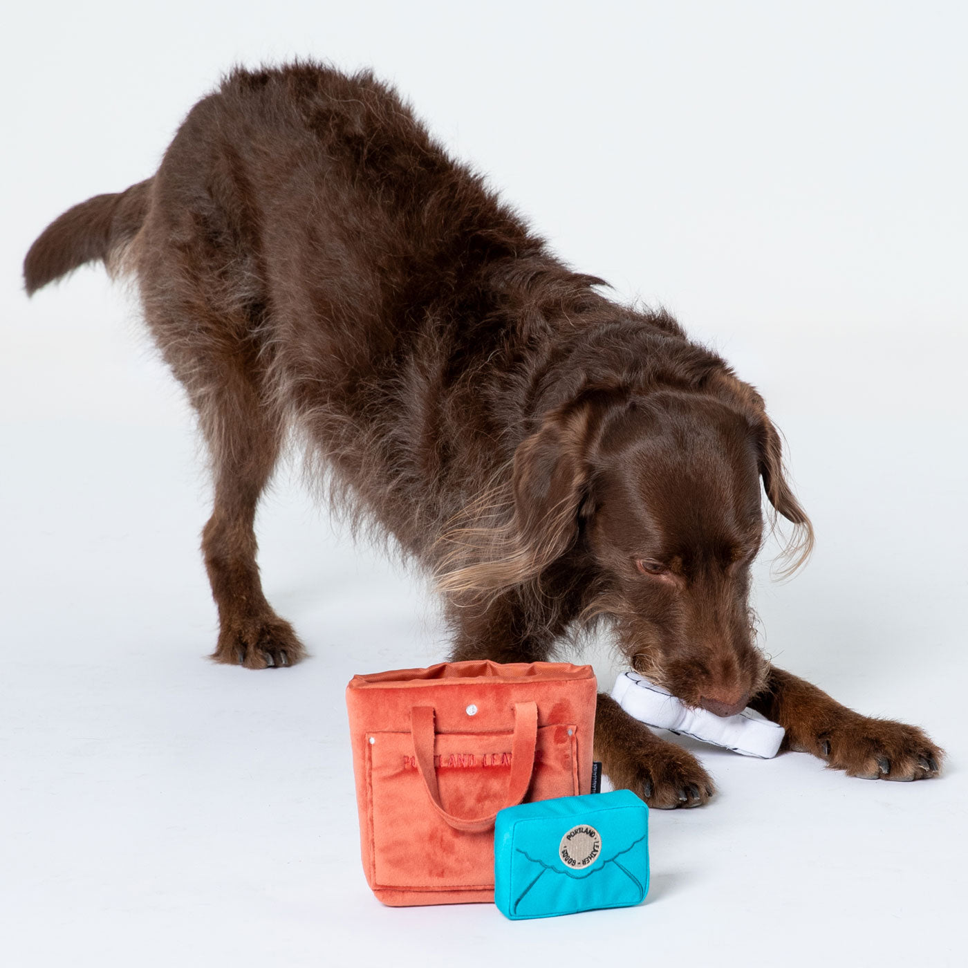 Durable Dog Toy Set for Chewers - Interactive Puppy Toys for Small & Large Dogs - Perfect for Indoor & Outdoor Playtime