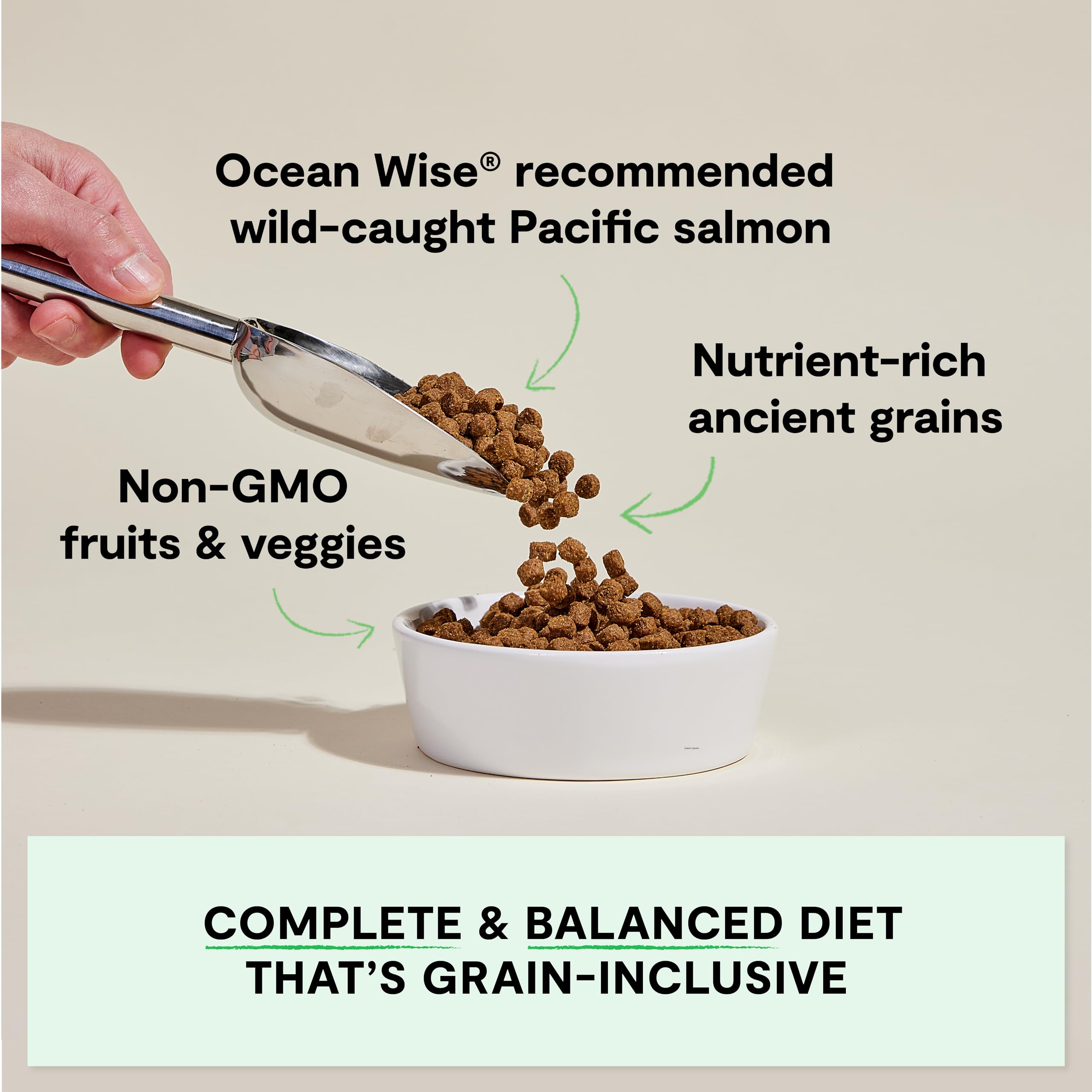Open Farm Ancient Grains Dry Dog Food - High Protein & Nutrient Dense with 90% Animal Protein, Non-GMO Fruits, Vegetables & Superfoods - Wild Caught Salmon Recipe - 11lb Bag for Adult Dogs - Perfect for Active Pets & Sensitive Stomachs