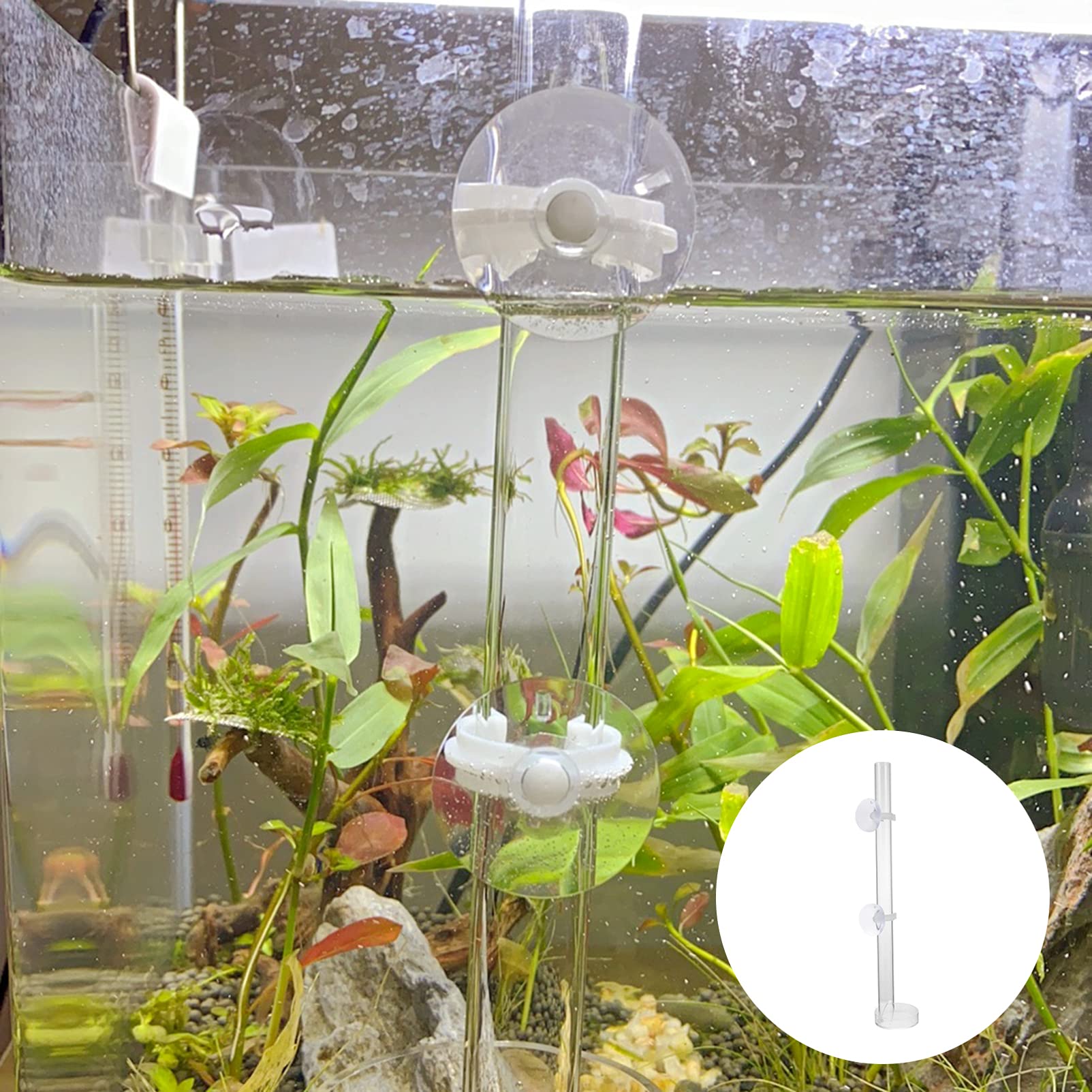 Balacoo Acrylic Shrimp Feeder Tray for Aquarium - Auto Fish Feeder Accessory