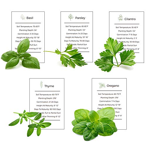 Basil, Cilantro, Parsley, Thyme & Oregano