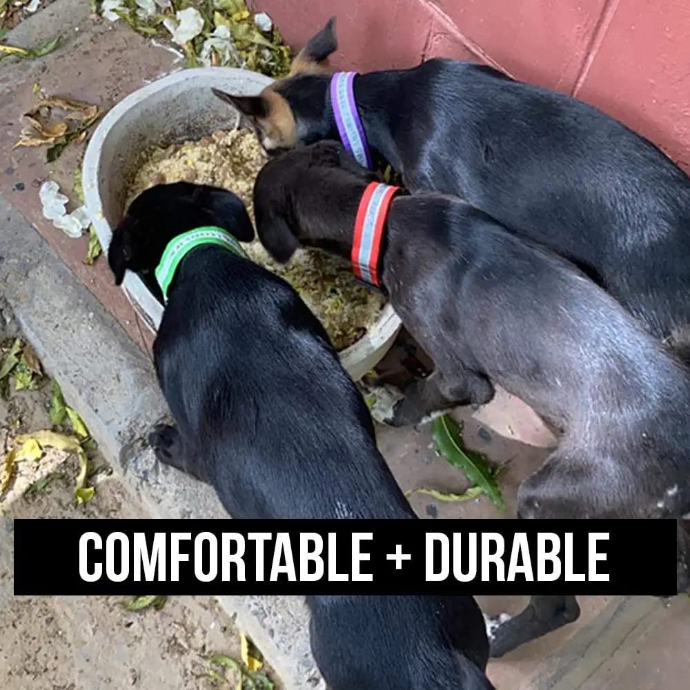 Reflective Nylon Dog Collars for Small Medium Large Dogs - 5 Pack Adjustable Pet Collar with Strong D-Ring (Multiple Colors) - Perfect for Night Walks, Jogging & Outdoor Safety