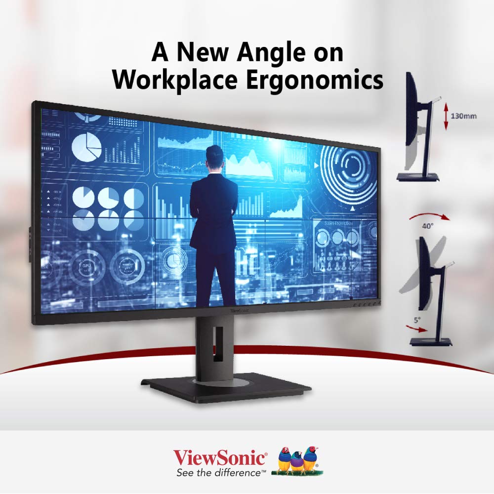 ViewSonic VG500 15 Inch LCD Monitor - Full HD 1080p, VGA & HDMI Ports, Ultra-Thin Bezel Design for Home Office, Gaming, and Business Use (VG500-2)