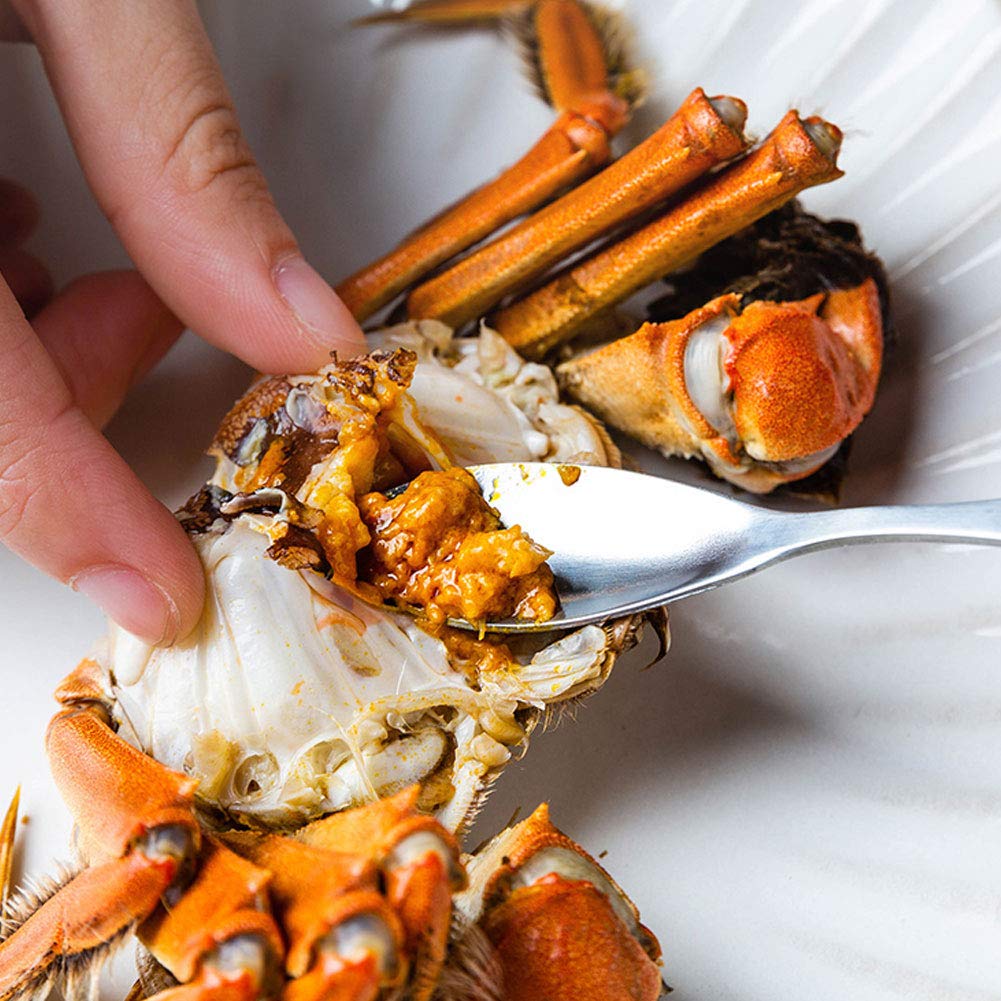 Premium 8-Piece Stainless Steel Crab Crackers & Seafood Tool Set - Crab Forks, Scissors, Claw Tools with Golden Dragon Design for Home, Travel & Outdoor Dining