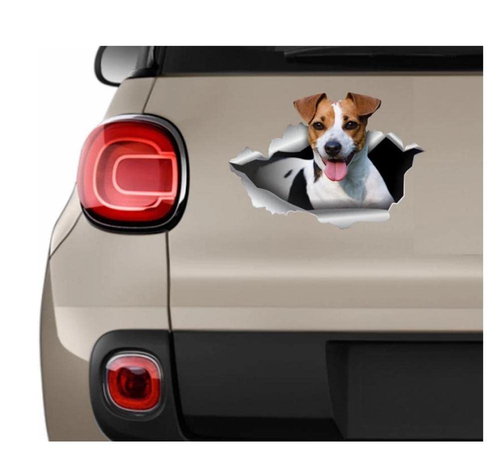 Funny Jack Russell Terrier Car Decal Sticker - 25Cm Dog Lover Vinyl Sticker for Cars, Laptops & Windows - Perfect for Pet Lovers & Animal Enthusiasts