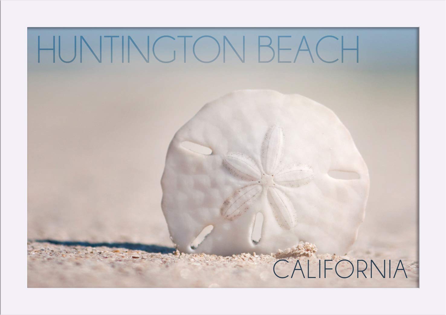 12x18 Giclee Fine Art Print of Huntington Beach California Sand Dollar & Beach - Recycled Wood Frame in White - Perfect for Coastal Home Decor & Beach House Wall Art