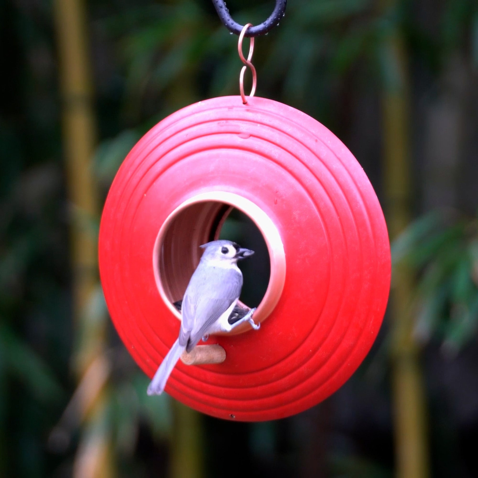 Mojave Fly Thru ™ Bird Feeder - Premium Outdoor Bird Feeder for Wild Birds, Garden & Backyard Decor - Attracts Cardinals, Finches & Hummingbirds - Perfect for Bird Watching & Nature Lovers