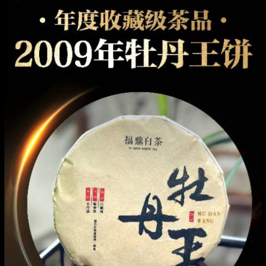 Premium 2009 Vintage Fu Ding White Tea - 300g Loose Leaf Peony White Tea (0923) | Organic & Handpicked | Perfect for Gifting, Relaxation & Tea Ceremonies