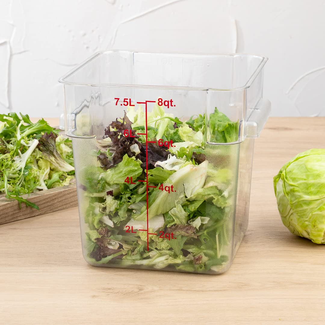Met Lux 8 Quart Brine Bucket - Square Marinating Container with Volume Markers & Built-In Handle | Clear & Red Plastic Dough Rising Bucket | Freezer-Safe | Ideal for Pickling, Fermenting & Bread Making (Lid Sold Separately)