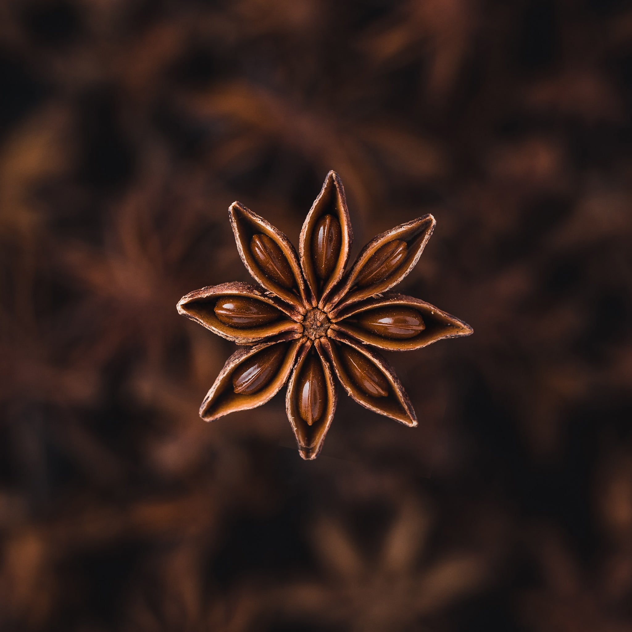 Premium Anise Star Essential Oil - 100% Pure & Natural for Aromatherapy, Diffusers & DIY Skincare - Relaxing & Uplifting Fragrance for Home & Spa Use