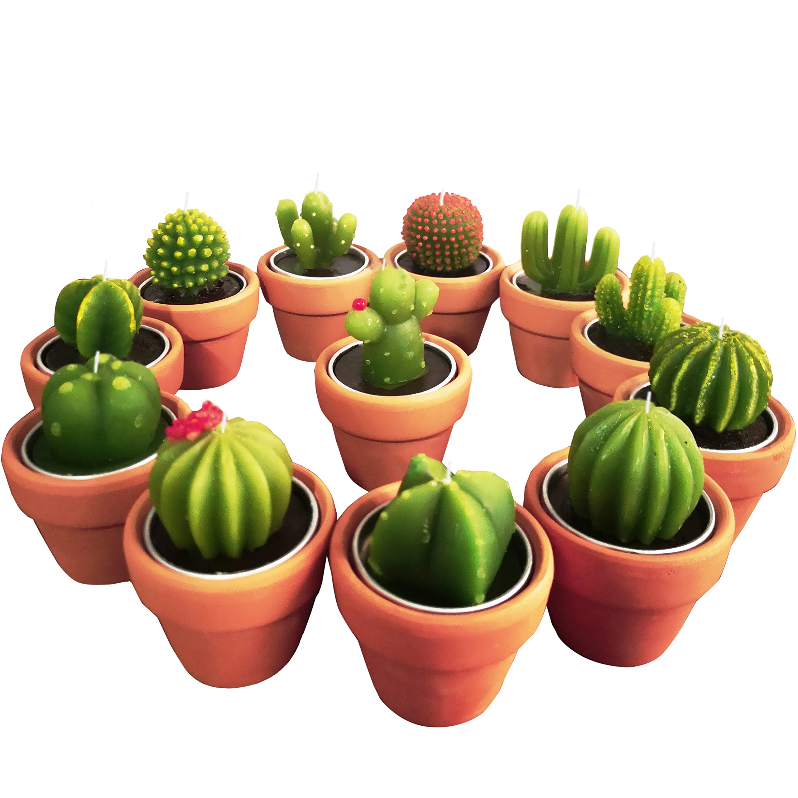 Succulent Candles - Decorative Cactus Tealight Candles for Baby Showers, Party Favors & Home Decor | Perfect for Terrariums, Wedding Centerpieces & Relaxing Spa Nights