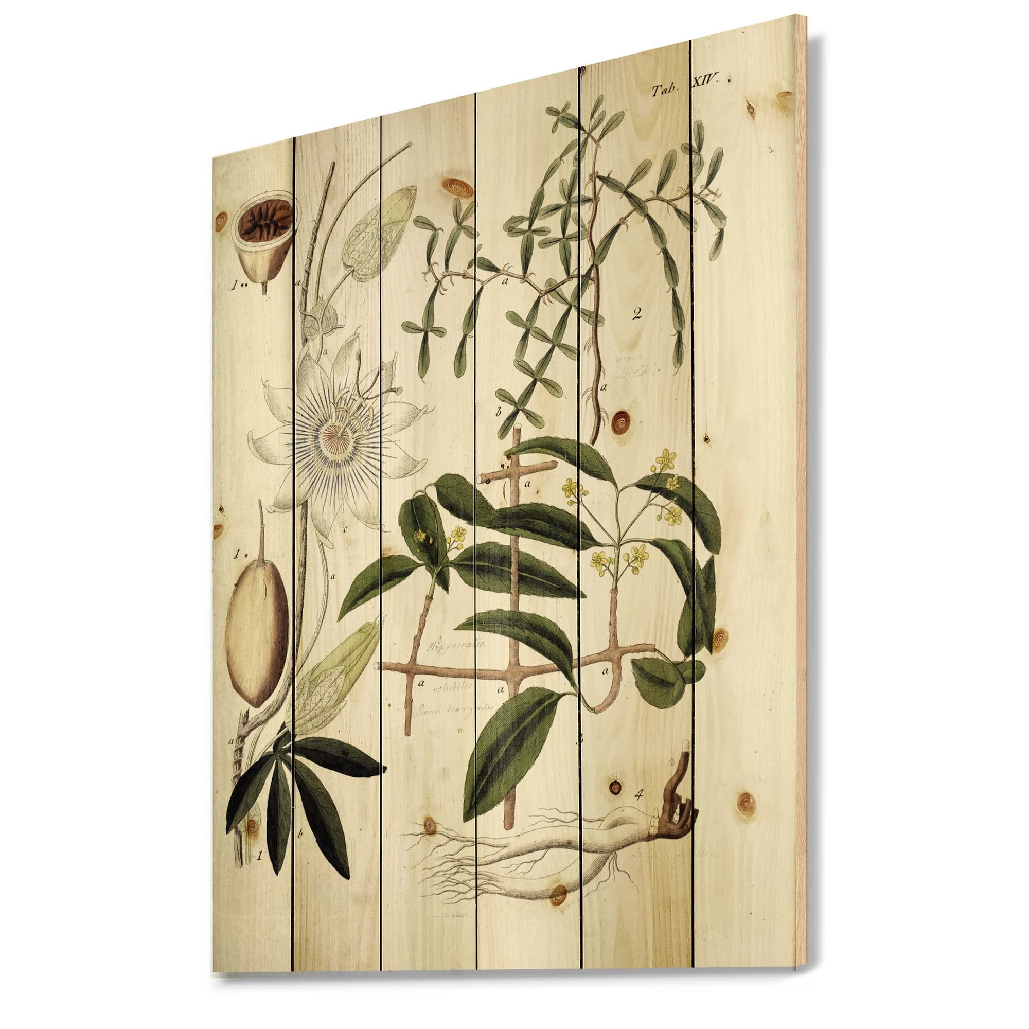 Vintage Farmhouse Wood Wall Decor - Green Floral Wall Art Panels Printed on Natural Pine Wood - Perfect for Living Room, Bedroom, or Kitchen Home Decor