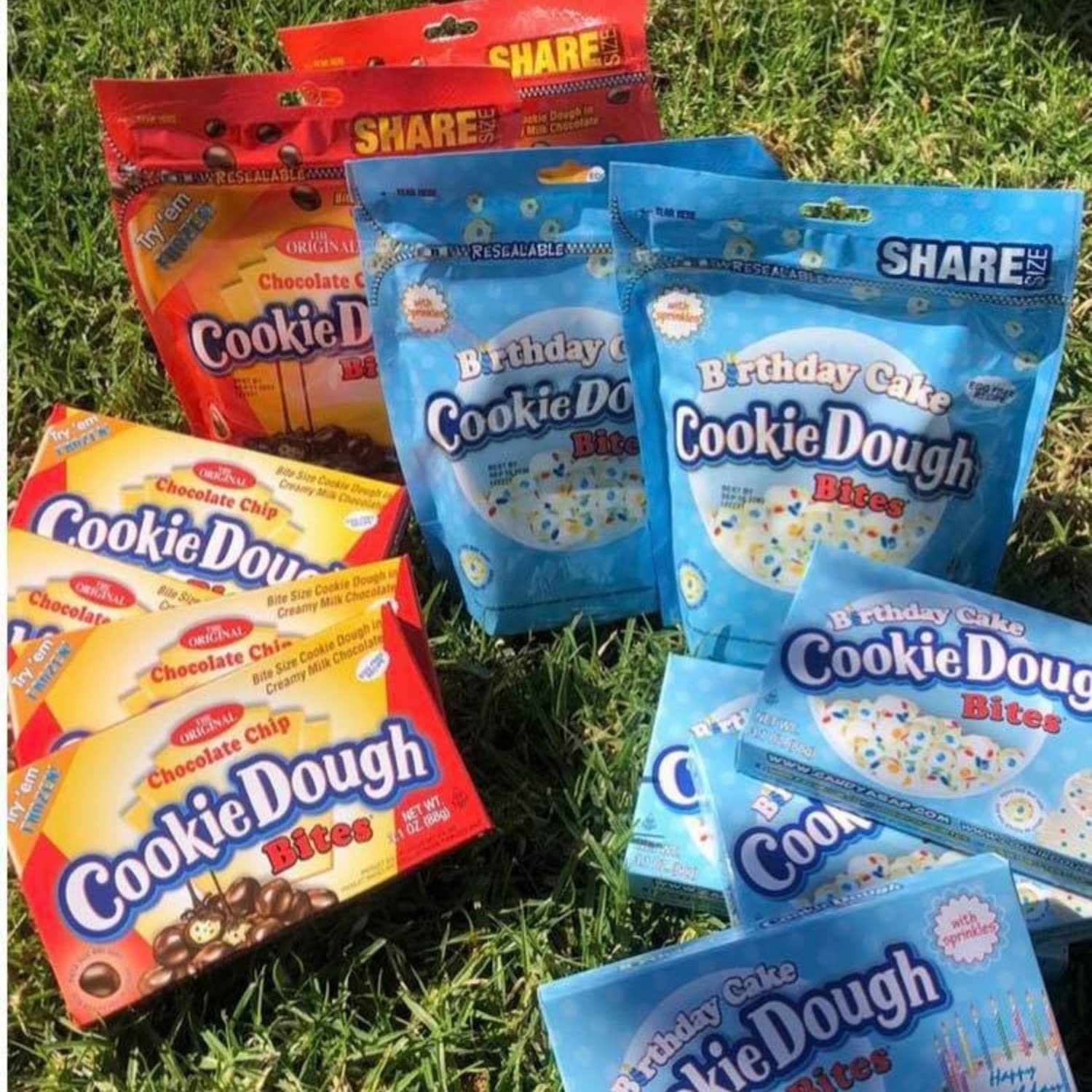 Chocolate Chip Cookie Dough Bites - Egg-Free Edible Cookie Dough Candy - Chocolate Covered Snack - 12 Count (3.1 oz each) - Perfect for Parties, Gifts & Sweet Cravings