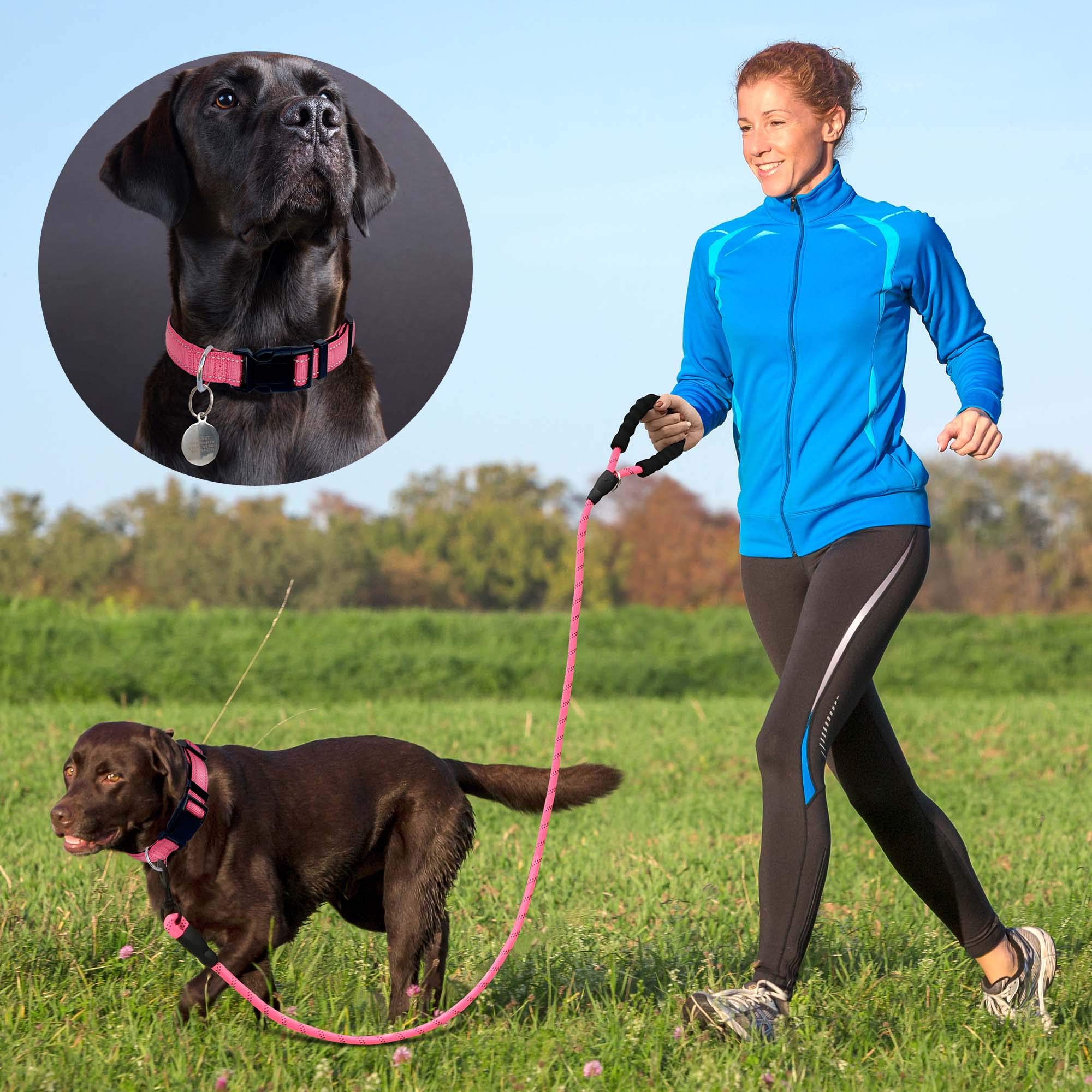Reflective Dog Collar with Soft Neoprene Padding - Breathable Adjustable Nylon Pet Collar for Small, Medium & Large Dogs - Pink Collar & Leash Set (Small, Pack of 1) - Perfect for Night Walks, Jogging & Outdoor Adventures