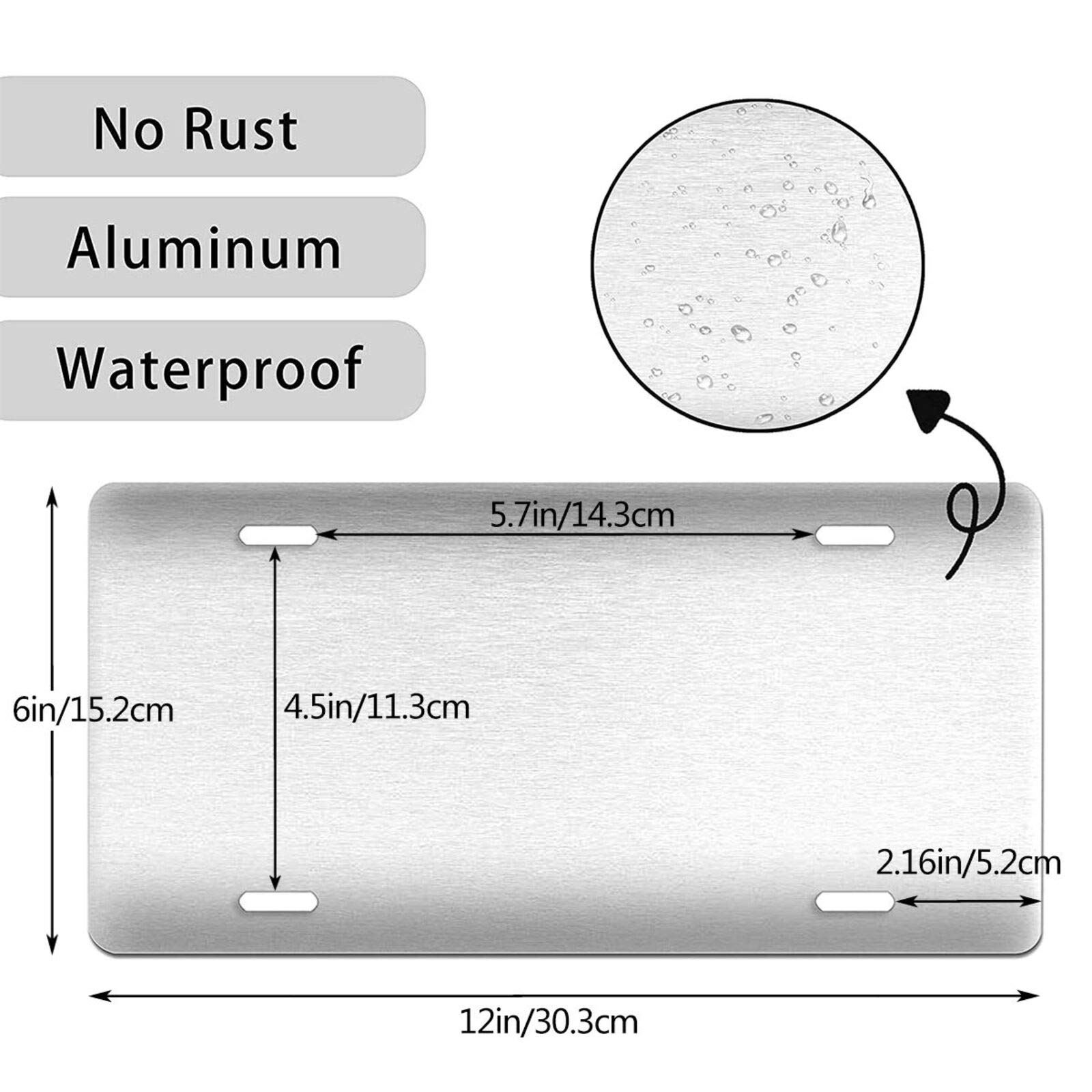 Custom Aluminum License Plate Frame Cover - 6