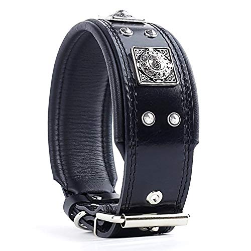 Black Cushion