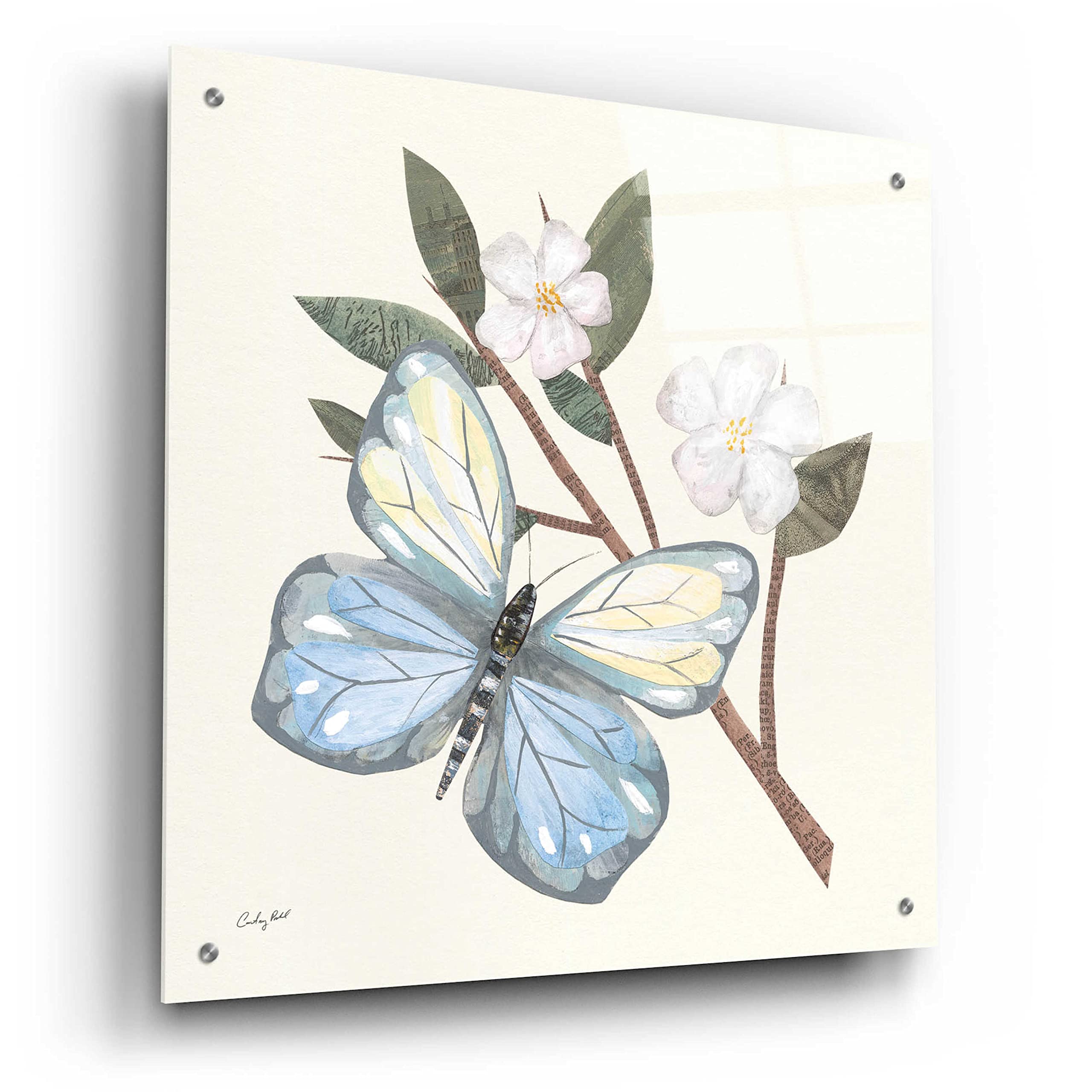 Courtney Prahl 'In the Garden Butterfly' Acrylic Glass Wall Art - 24x24 Inch Modern Home Decor for Living Room, Bedroom & Office