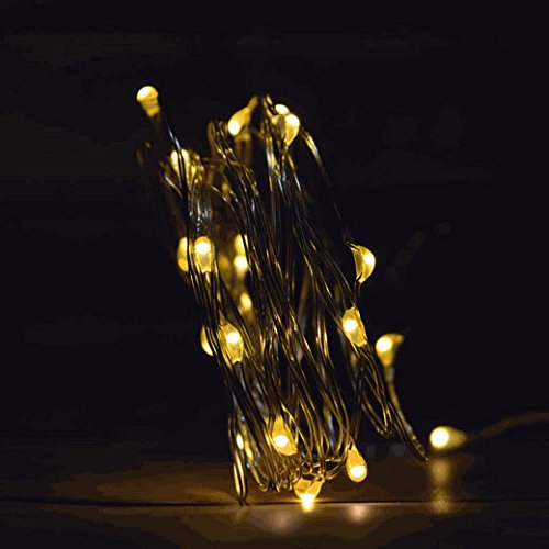 20 LED Waterproof Warm White Fairy String Lights for Outdoor Garden Wedding Party Decor