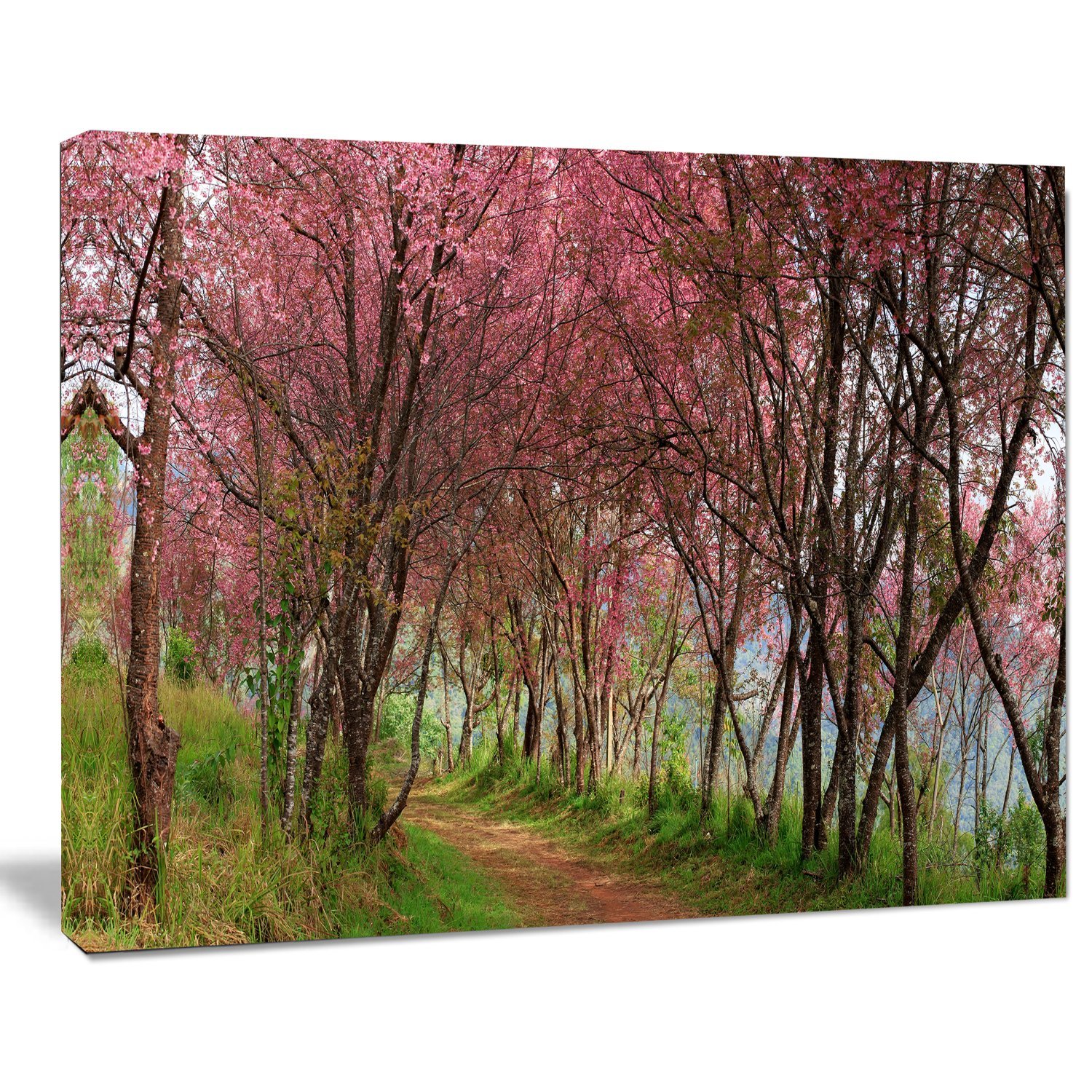 Stunning Sakura Pink Cherry Blossom Flowers Thailand Landscape Canvas Wall Art Print - Perfect for Living Room, Bedroom & Office Decor
