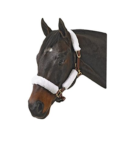 Jacks Imports Adjustable Halter Kit for Horses - Durable Red Nylon Halter with Brass Hardware - Perfect for Training, Grooming, and Everyday Use