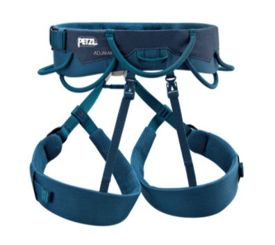 Adjustable Dog Harness with Leash - Blue - Perfect for Walking, Running & Outdoor Adventures