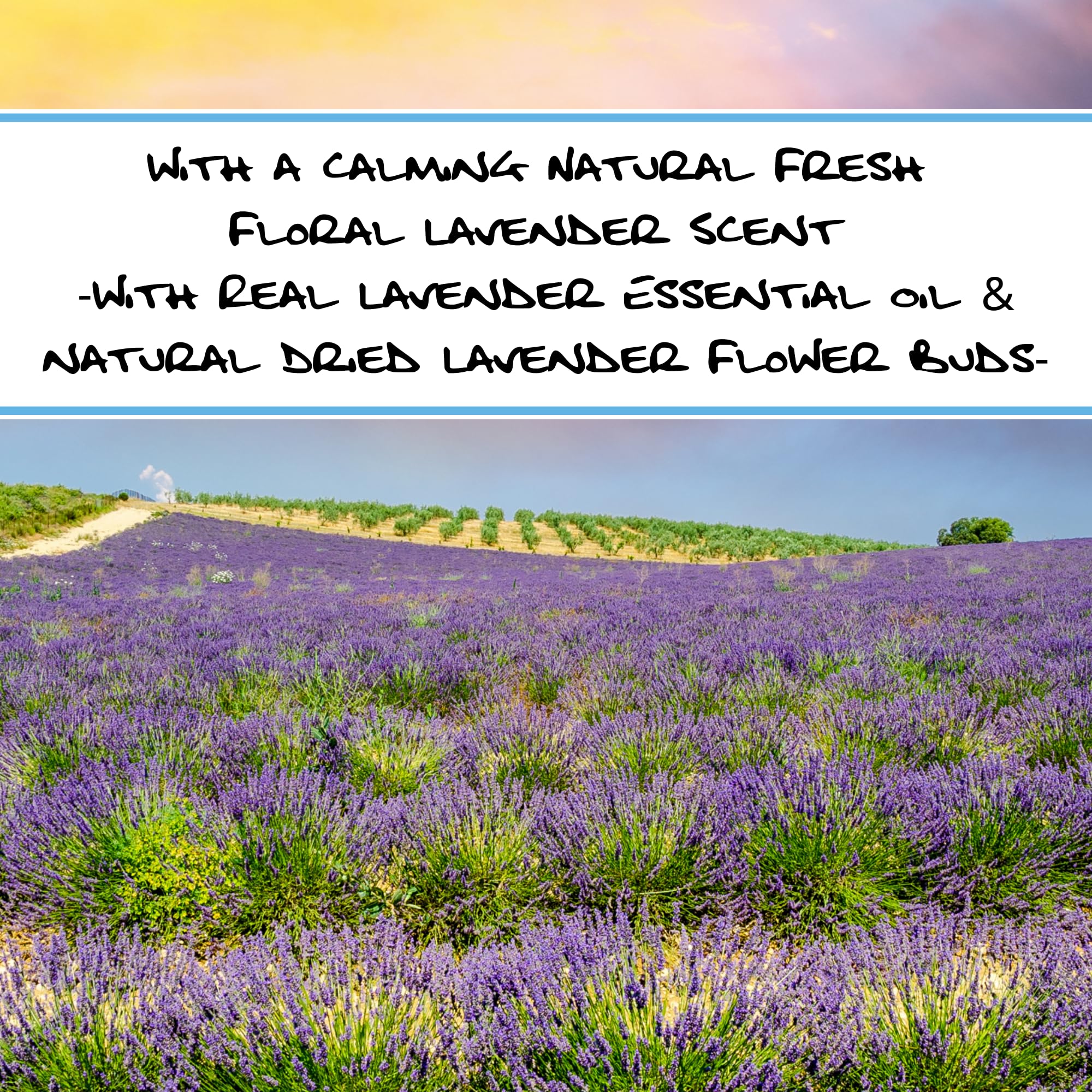Bluebyrd Provence French Lavender Soap Bar - 100% Natural Essential Oil with Exfoliating Lavender Buds | Vegan Moisturizing Body Wash for Dry Skin | Handmade in USA | Perfect for Relaxing Baths & Spa Gifts