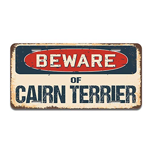 Beware of Cairn Terrier