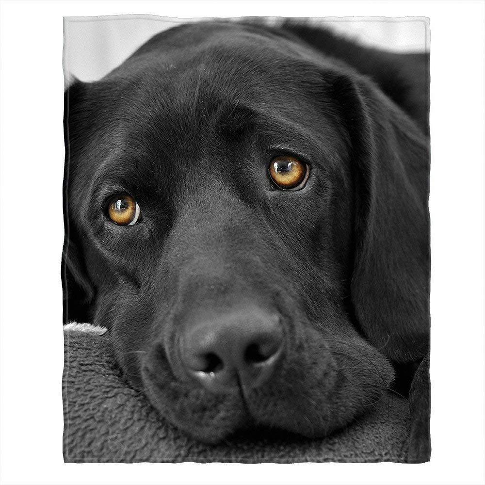 Premium Soft Cozy Throw Blanket - Black Labrador Dog Design - Fuzzy Warm Fleece Blanket for Couch, Bed & Sofa - 50x60 Inches - Perfect for Adults, Teens & Kids - Ideal for Home, Travel, Camping & Gifts - Machine Washable Polyester Fabric