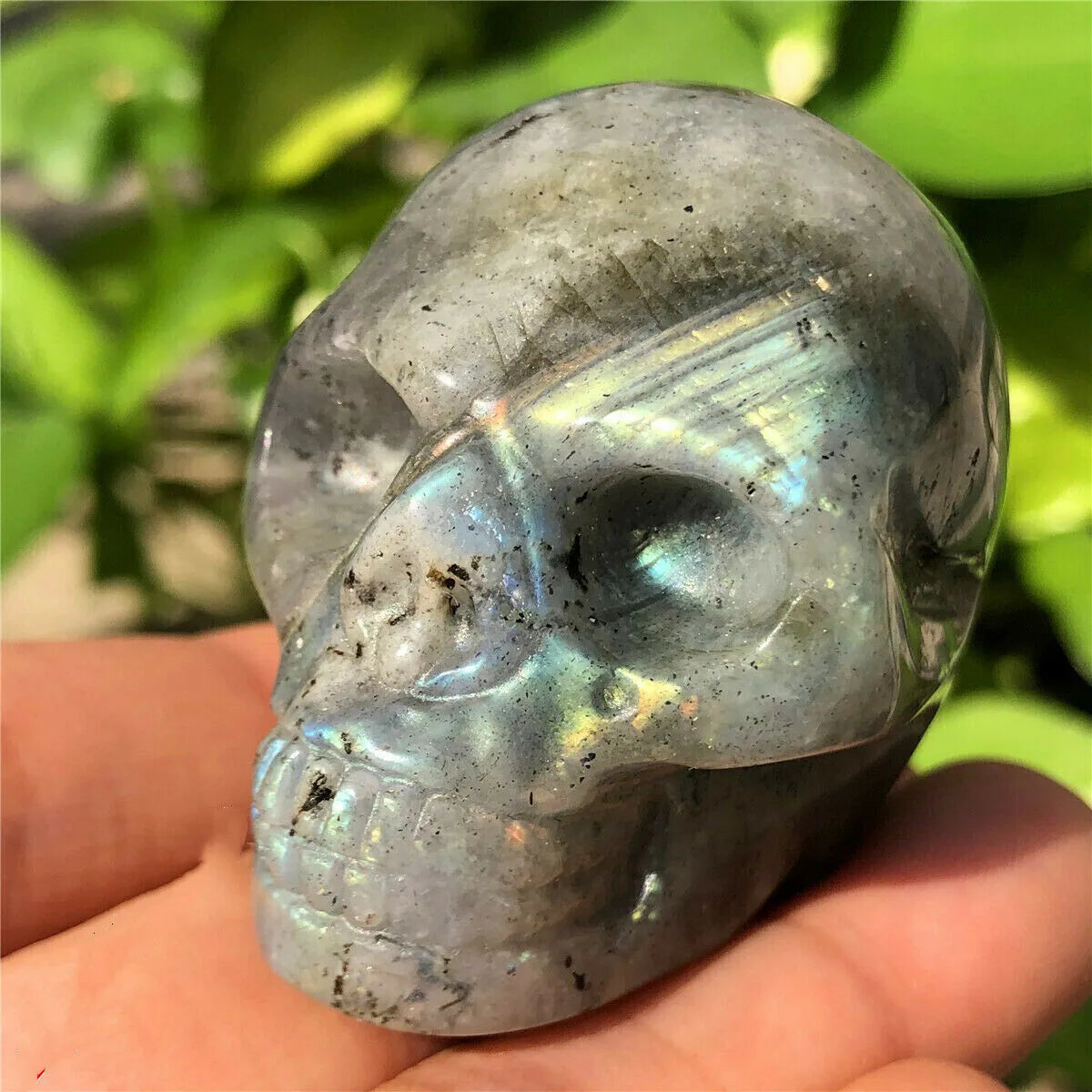 mottled